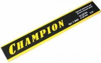 Напильник Champion 4,8