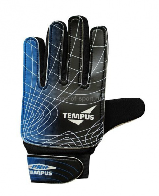 Перчатки вратарские Tempus Pro AG002 р.12 синие